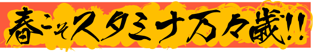春こそスタミナ万々歳!!