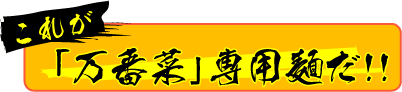 これが「万番菜」専用麺だ!!