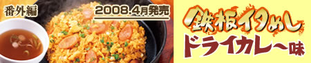 鉄板イタめしドライカレー味