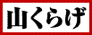 山くらげ