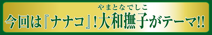 今回は『ナナコ』！大和撫子がテーマ!！