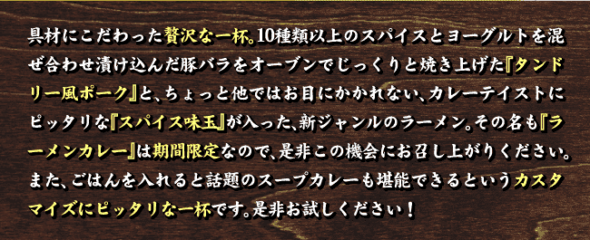 ラーメンカレー虎吉屋画像5